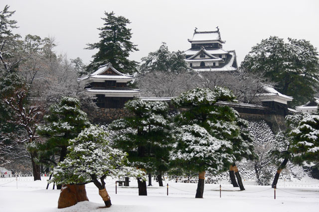 雪化粧の松江城