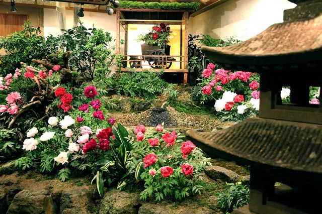 由志園／松江市】見渡す限りの牡丹の楽園！ 姫気分に浸れる日本庭園