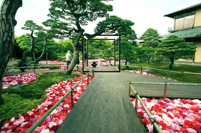 由志園／松江市】見渡す限りの牡丹の楽園！ 姫気分に浸れる日本庭園