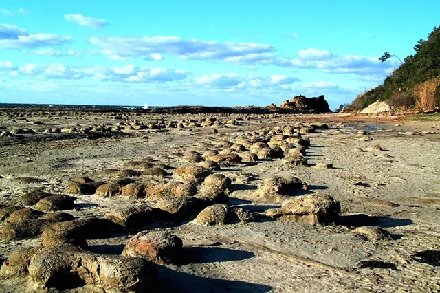 岩×海×空の絶景スポット！ 1,600万年前の地層や化石と出会える歴史旅