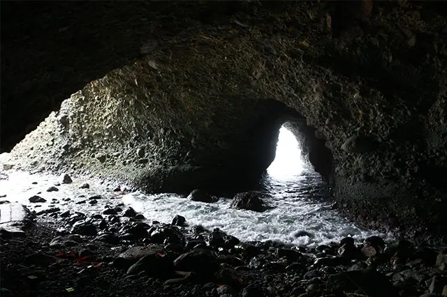 岩×海×空の絶景スポット！ 1,600万年前の地層や化石と出会える歴史旅