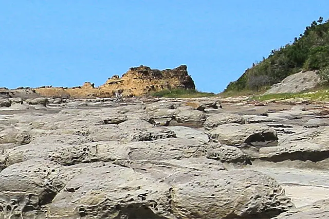岩×海×空の絶景スポット！ 1,600万年前の地層や化石と出会える歴史旅