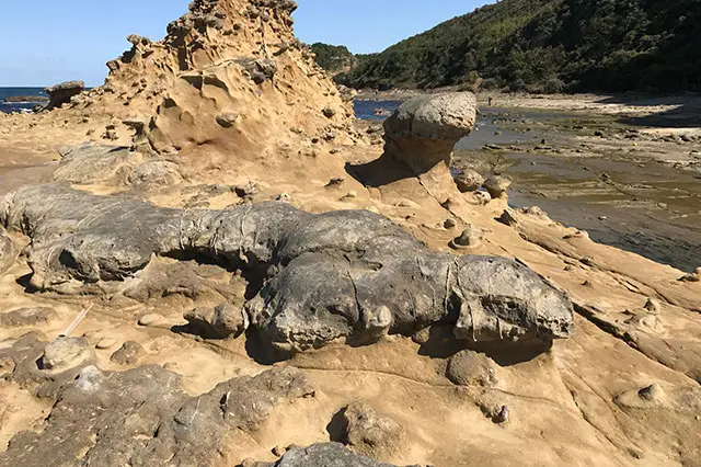 岩×海×空の絶景スポット！ 1,600万年前の地層や化石と出会える歴史旅