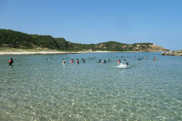 まるで南国のビーチリゾート！ 澄みきったコバルトブルーの海で多彩な