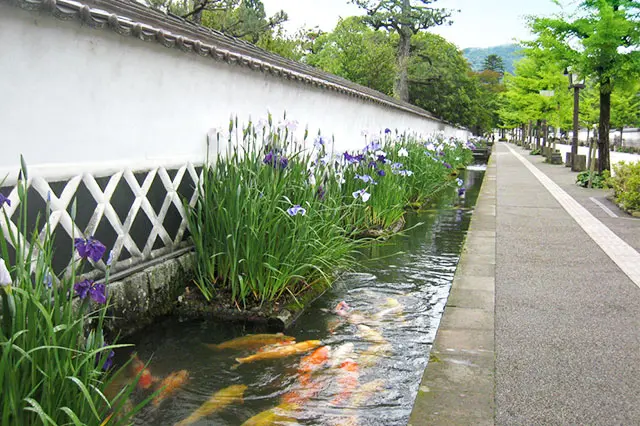 静謐（せいひつ）な時の流れの中にたたずむ、山陰の小京都。【津和野の