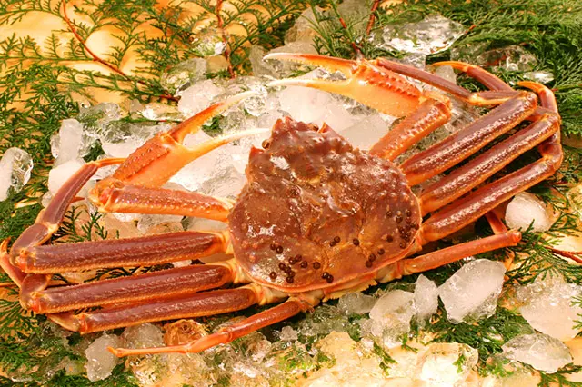 豊かな島根の海が育んだ、至高のブランド蟹！【隠岐松葉ガニ／島根県