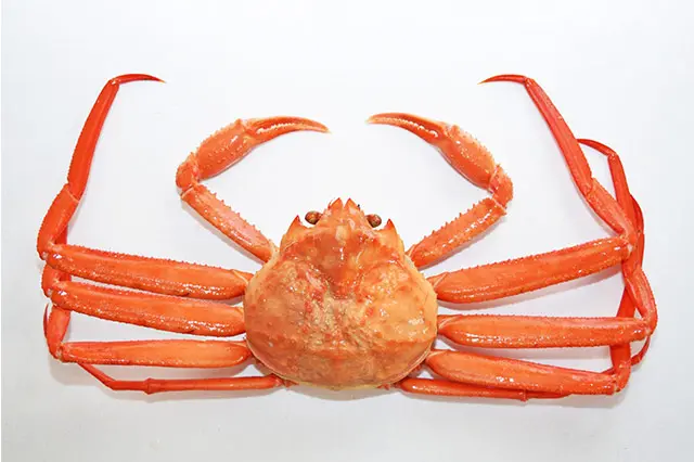 上品な甘みと繊細な食感が素晴らしい「カニの女王」！ 鳥取・島根旅行