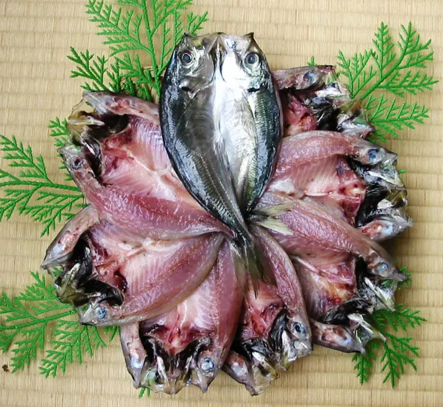 どんちっちアジ／浜田市】「アジの大トロ」とも呼ばれる、全国屈指の脂