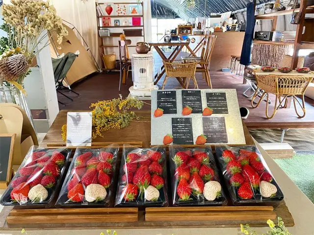 採れたていちごの直売所×アウトドア空間！ 美味しくてオシャレないちご