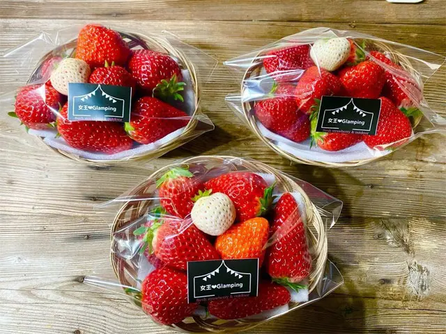 いちご 採れたていちごの直売所×アウトドア空間！ 美味しくてオシャレないちご
