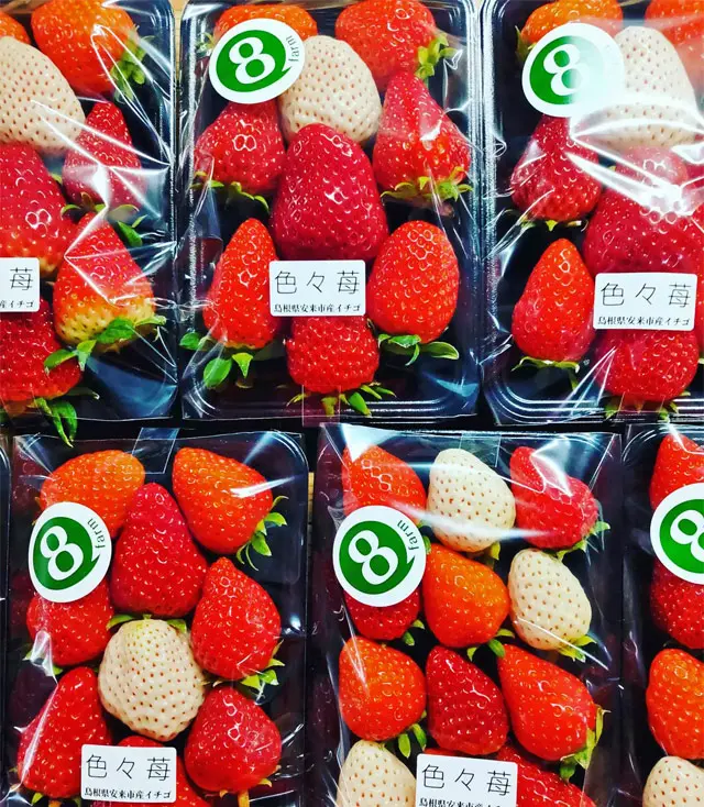 イチゴは「農園の直売」が美味しい！ 採れたての甘さとジューシーさに