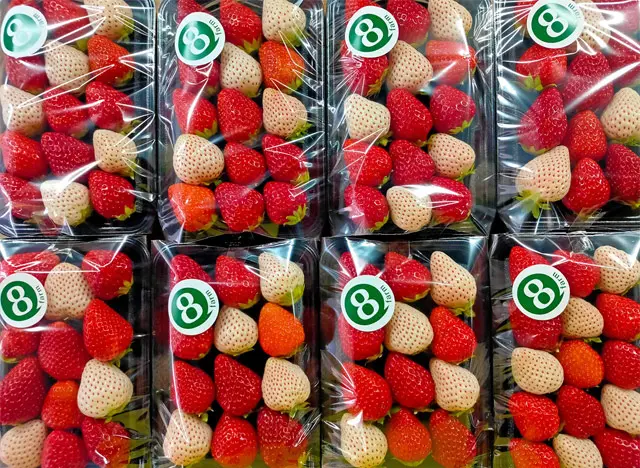 イチゴは「農園の直売」が美味しい！ 採れたての甘さとジューシーさに