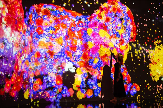カラフルなデジタルアート作品 世界中で1,000万人以上を動員したデジタルアートが島根県に初上陸