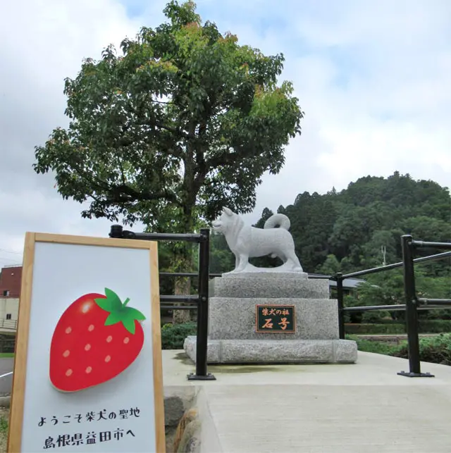 すべての柴犬の先祖になった、島根県出身の純日本犬。【石号／島根県