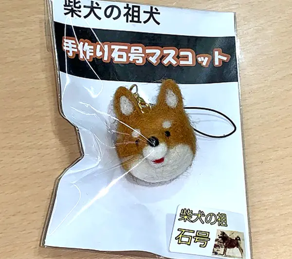 すべての柴犬の先祖になった、島根県出身の純日本犬。【石号／島根県