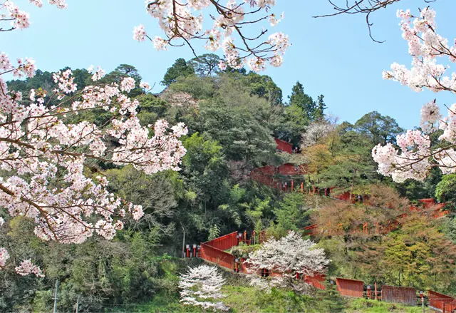 朱塗りの社殿が美しい「日本5大稲荷」のひとつ｜太皷谷稲成神社｜出雲