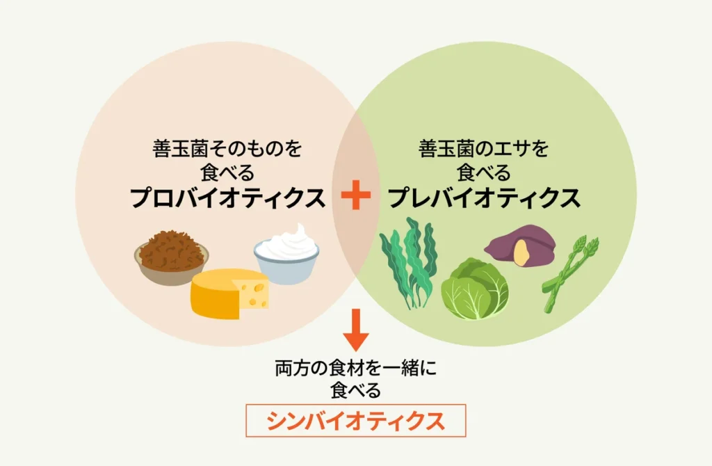 善玉菌そのものを食べる「プロバイオティクス」+善玉菌のエサを食べる「プレバイオティクス」→両方の食材を一緒に食べる「シンバイオティクス」