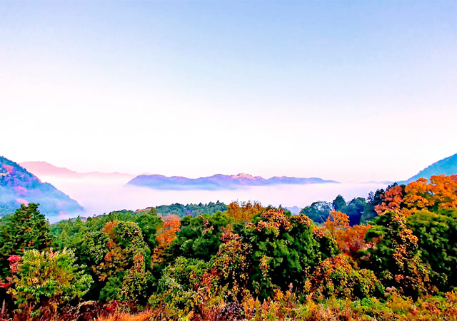 島根の紅葉の名所