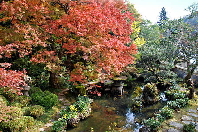 掘庭園／旧堀氏庭園