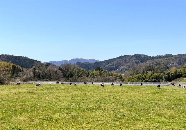 牧場と山の環境