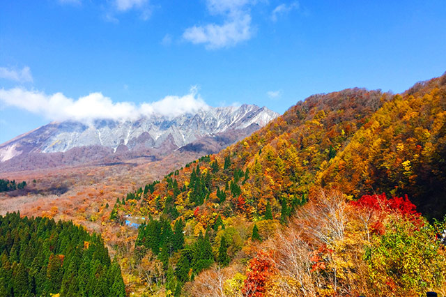 紅葉シーズン