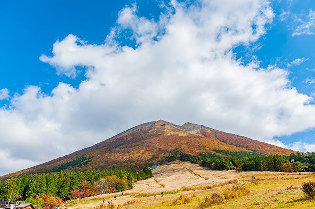 大山ますみず高原