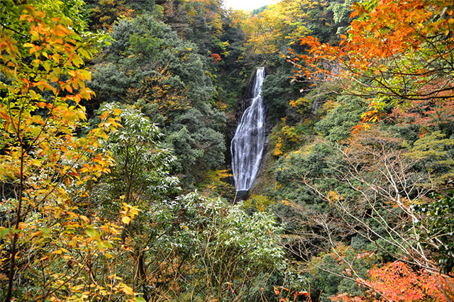 鱒返しの滝