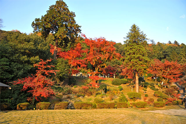 鳥取市（鳥取藩主池田家墓所・鹿野城跡公園・樗谿公園）