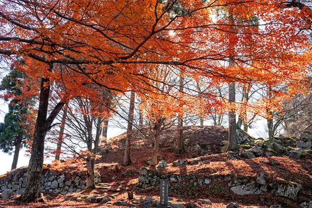 鳥取県の紅葉の名所7選！ 見頃シーズンの情報もあり｜出雲テラス