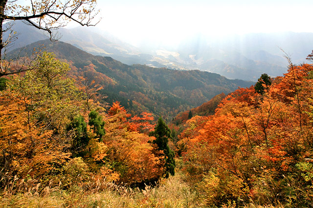 バラエティ豊かな紅葉スポット