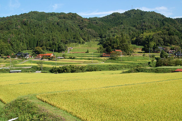 風光明媚な農村