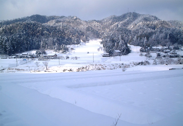 冬は新潟や東北にも負けない量の雪が