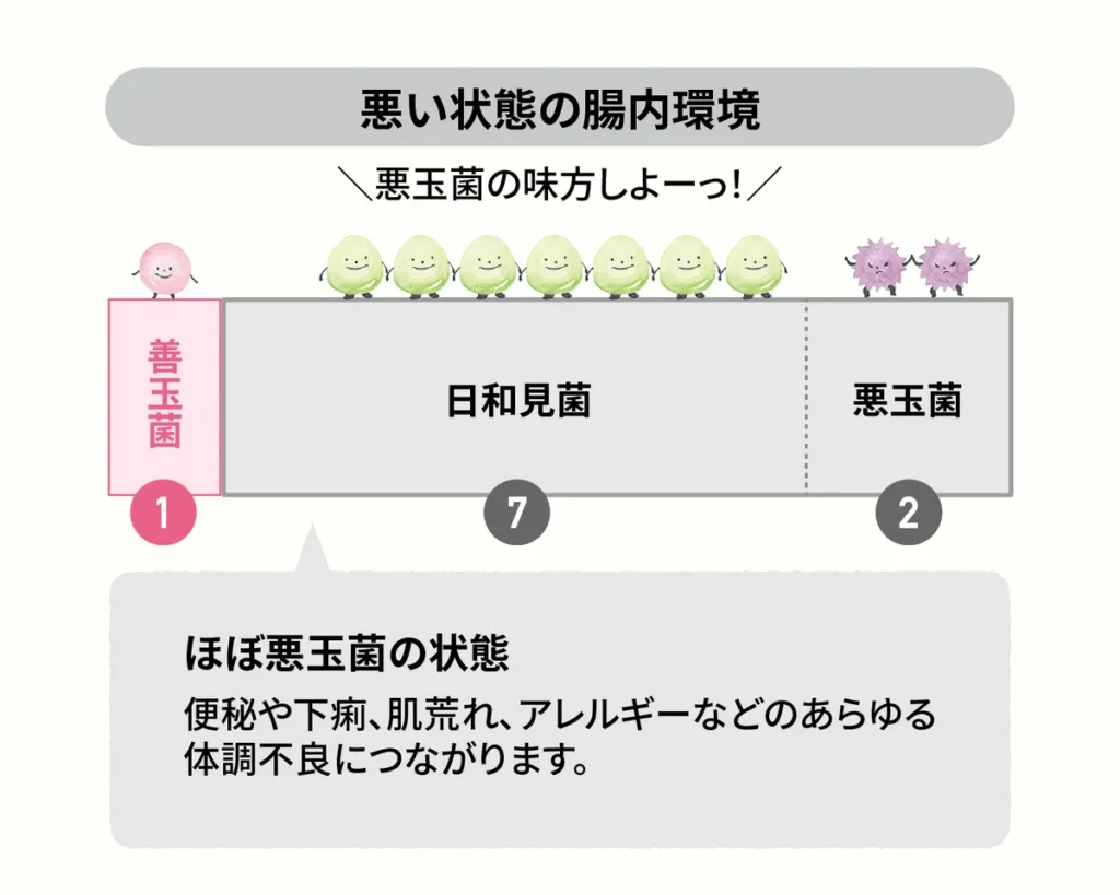 悪い状態の腸内環境：ほぼ悪玉菌の状態
便秘や下痢、肌荒れ、アレルギーなどのあらゆる体調不良につながります。