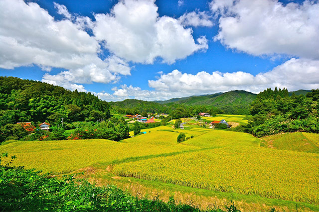 追谷（おいだに）地区