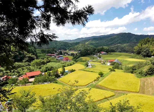 棚田が絶景！