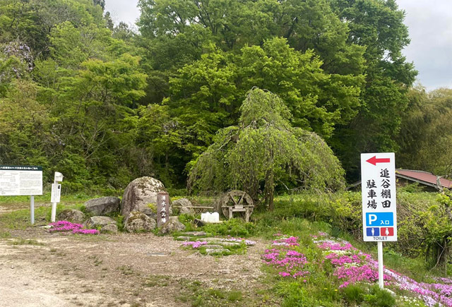 自由に汲める湧水が！