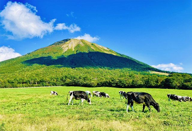 大山エリア