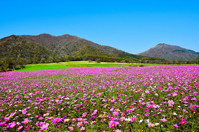 蒜山エリア