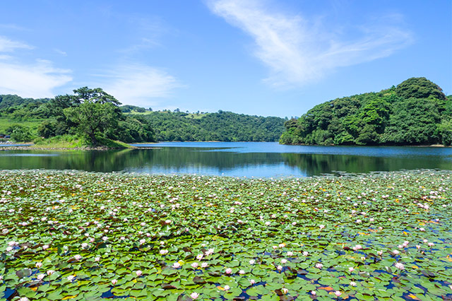 多鯰ヶ池