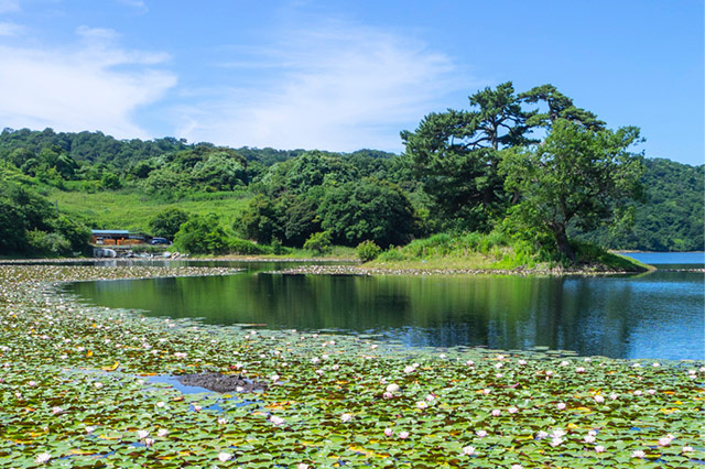 国立公園の一部