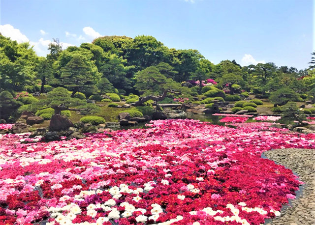 大根島～ベタ踏み坂エリア